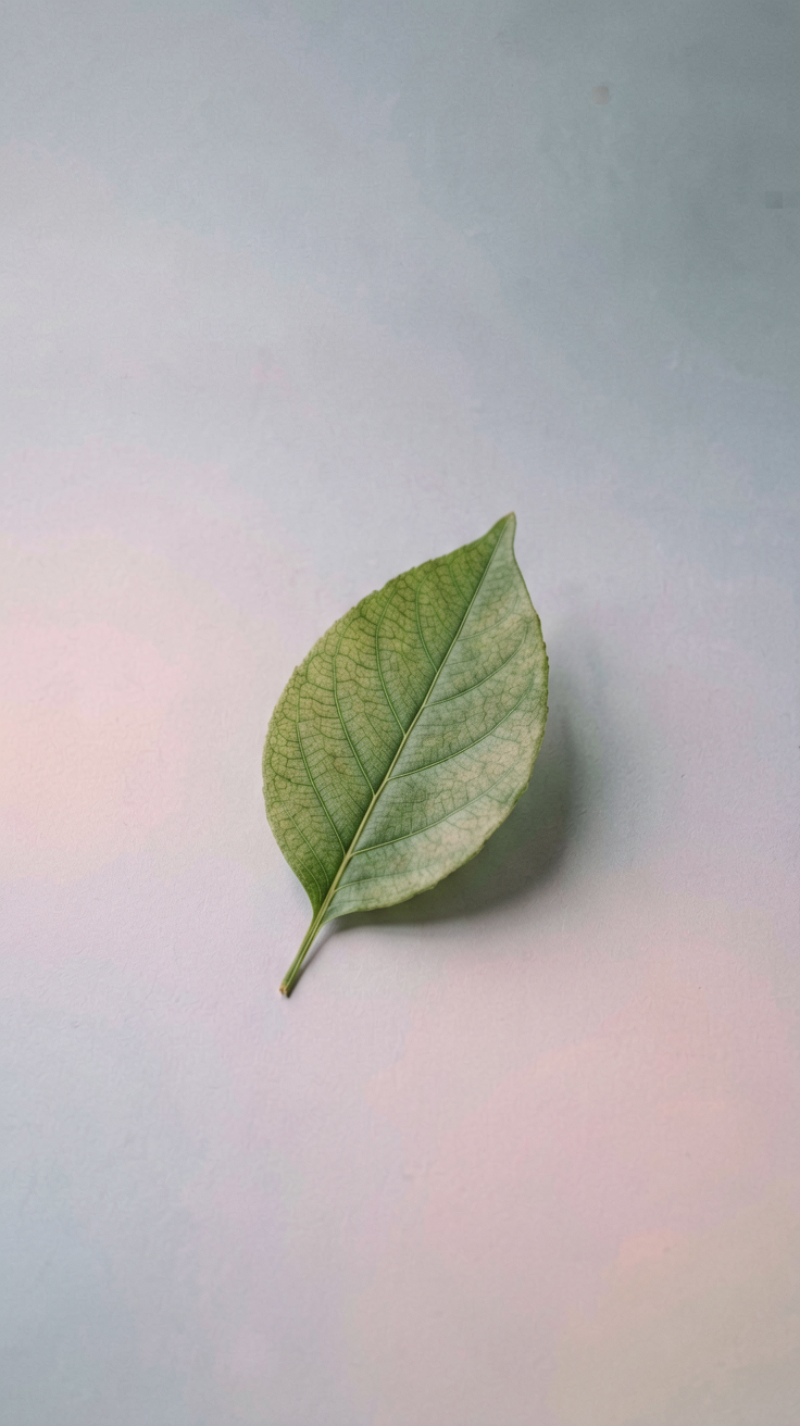 简约壁纸 AI素材 0036