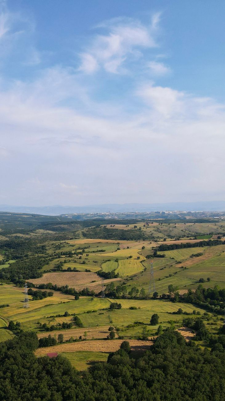 Gamze Altınsoy