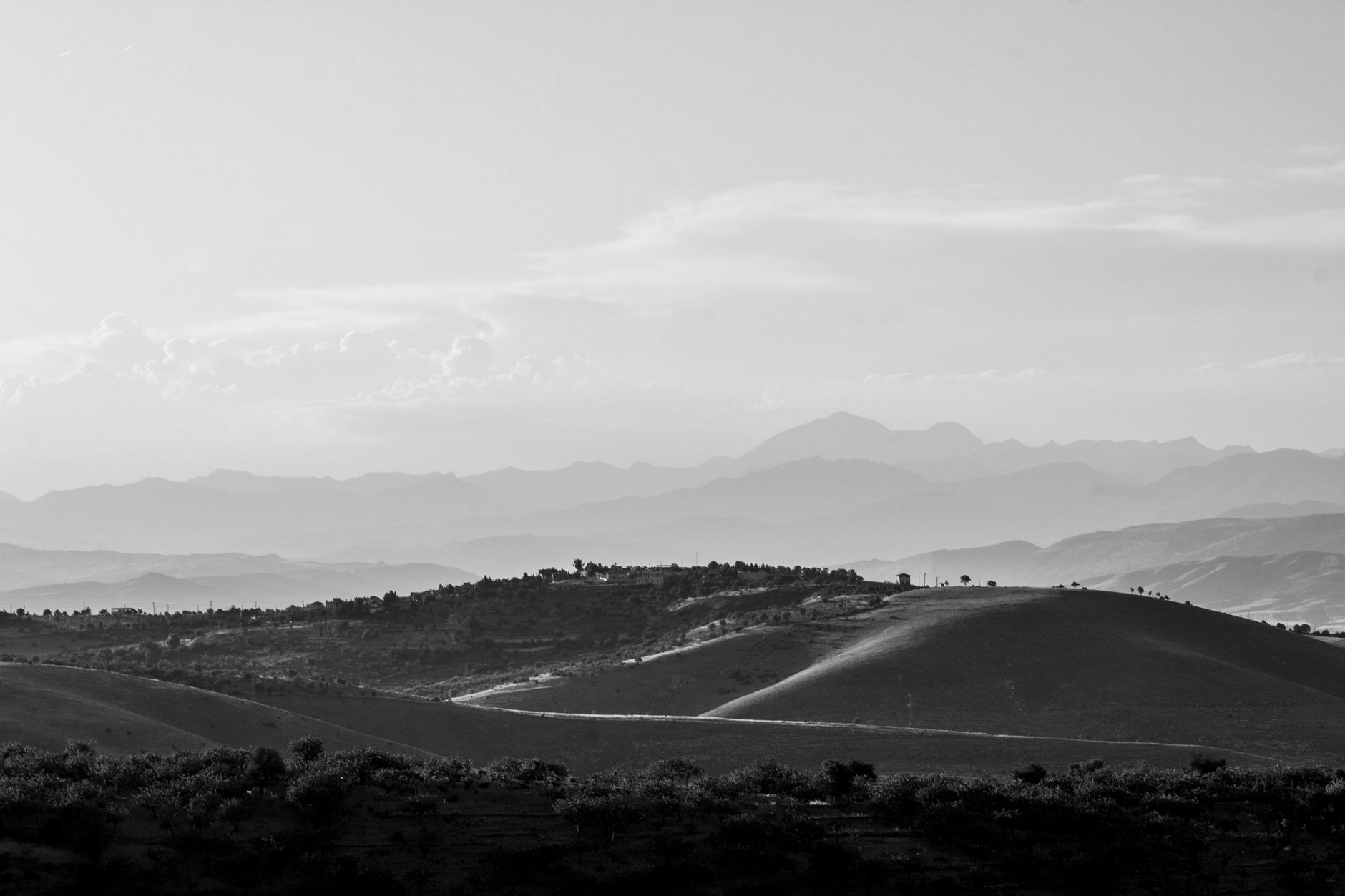 dilan archive