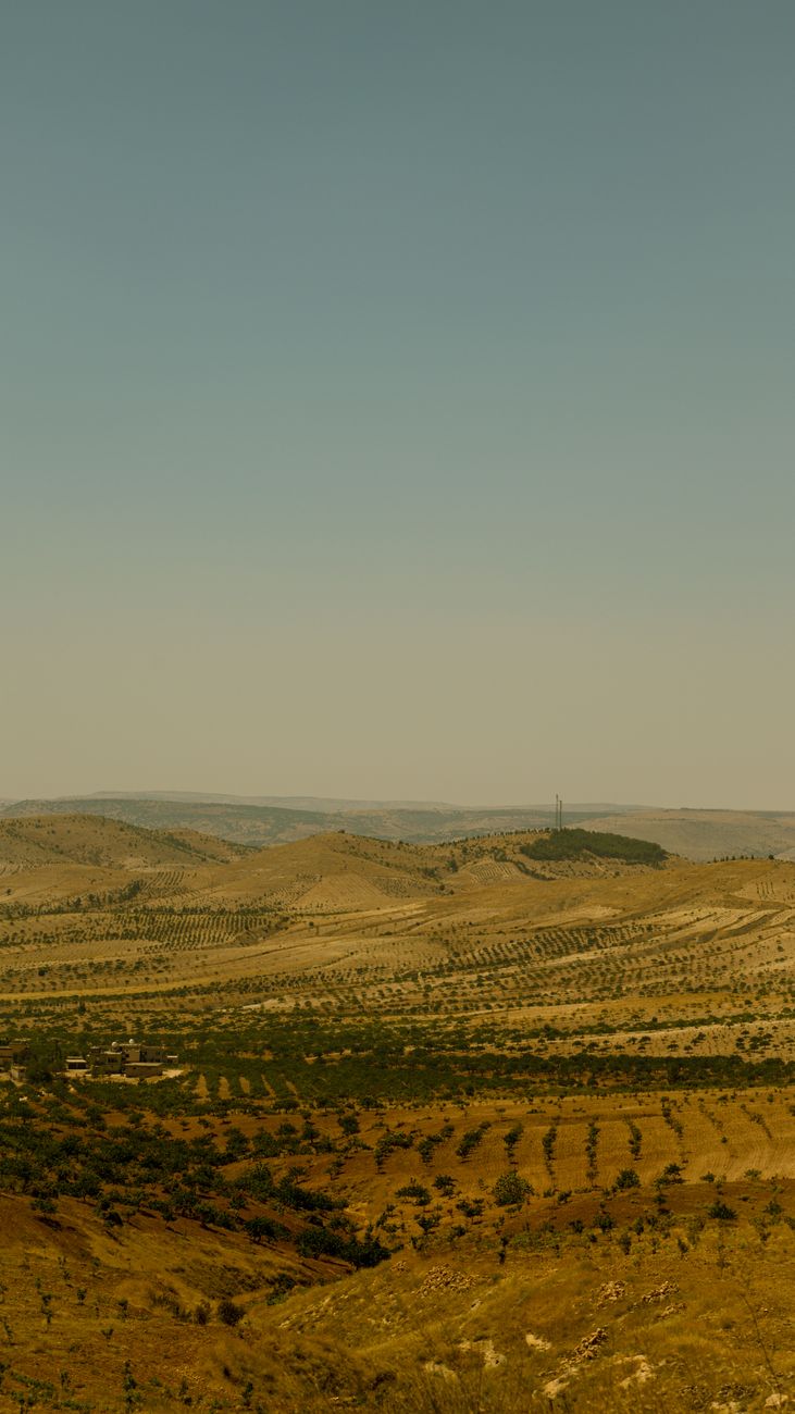 Yusuf  Kaya