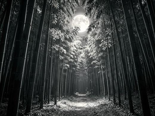 山水古风 AI素材 0084