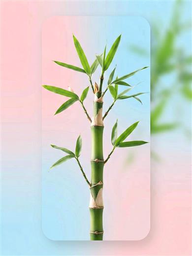 好运发财 AI素材 0062