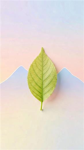 简约壁纸 AI素材 0006