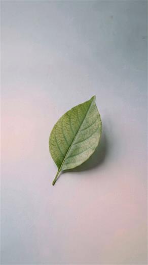 简约壁纸 AI素材 0036